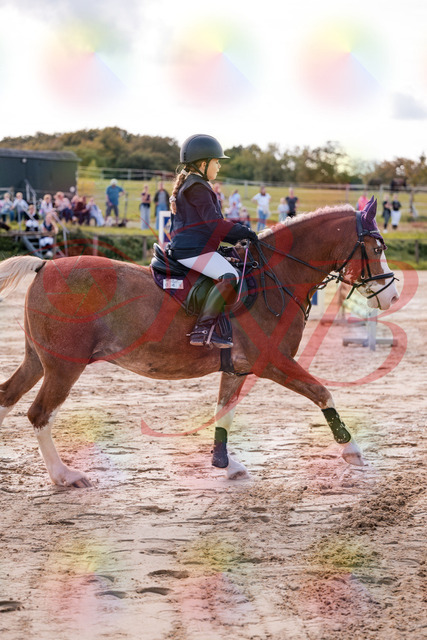 2026_10_03_Siefer-Hof_144439_Z81_18743951 | Professionelle Reitsport-, Turnier- und Eventfotografie von Robert Broda. Galerien mit ausgewählten und bearbeiteten Bildern direkt online ansehen und bestellen.