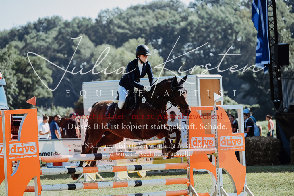 DSC_5874 | Pferde- und Turnierfotografie in Westsachsen. Pferdeportraits, Auftragszeichnungen und intuitive Kunst.