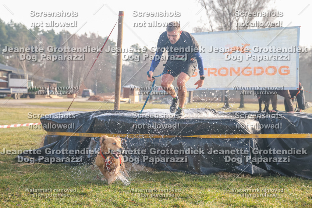 Dog Paparazzi - SD North Sa 830-900-199 | Dog Paparazzi Jeanette Grottendiek Fotografie & Videografie - Realisiert mit Pictrs.com