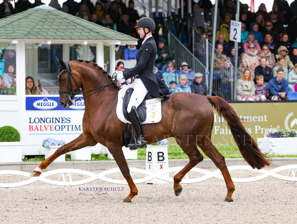 IMG_0120 | Reitsport Reiten