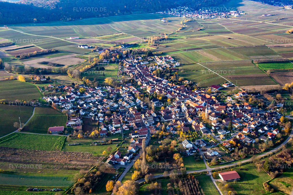 Luftbild: Ortsansicht von Osten in Göcklingen im Bundesland Rheinland-Pfalz in Deutschland. Foto: IMG_139259.jpg vom 22.11.2023 durch Werner Riehm/FLY-FOTO.de