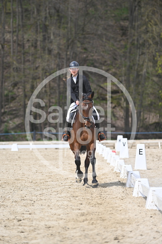 DSC_3419 | sattelsport - Realisiert mit Pictrs.com