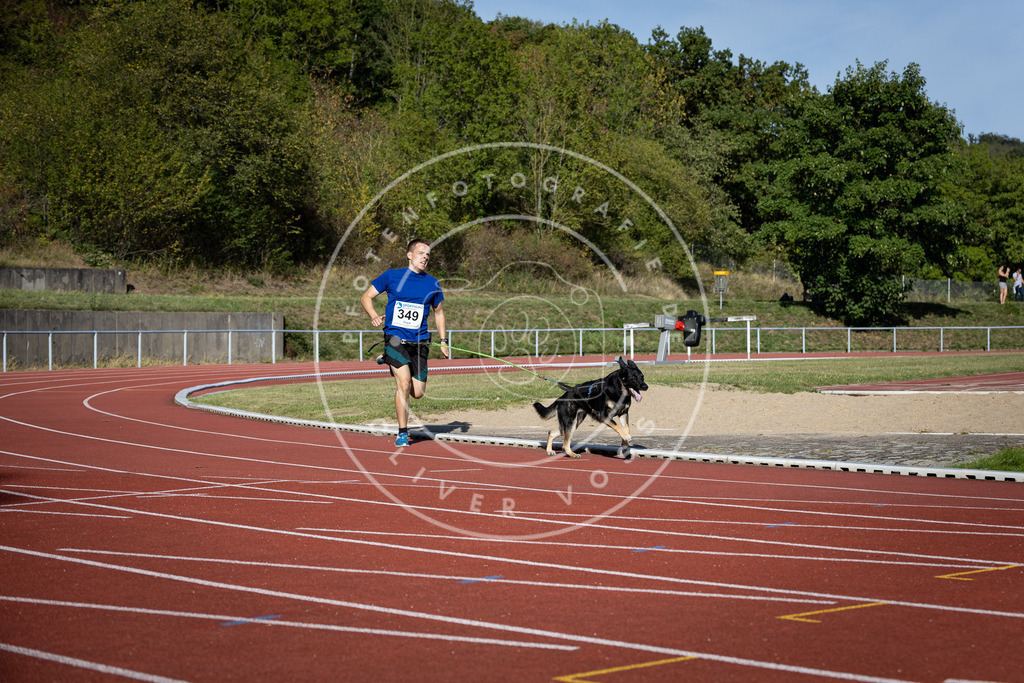 Pfotenfotografie_DV3A9168 | Hundefotografie, Tierfotograf, Pfotenfotografie, Fotoshooting Hund, Hunde Portrait, Hundesport, Hundeportraits, Heideshooting, Hunde, Sportfotograf, Hundefotograf, Turnierhundsport, THS,  - Realisiert mit Pictrs.com