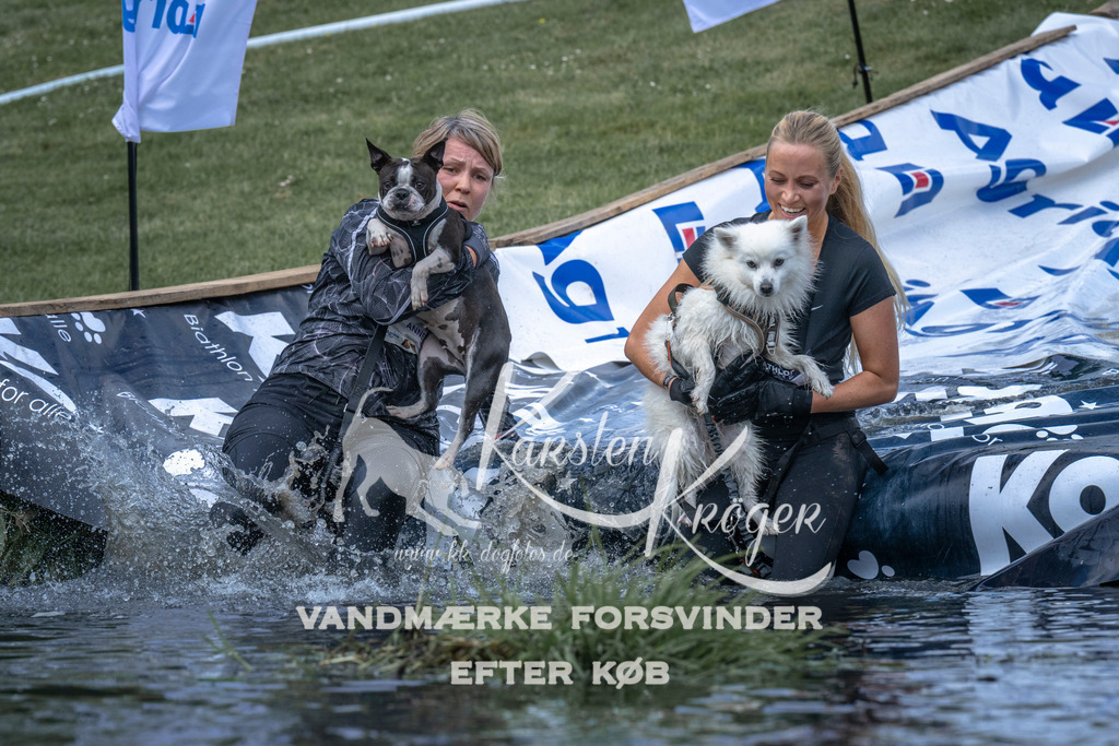 1111_ZZ91384 | kk-dogfotos