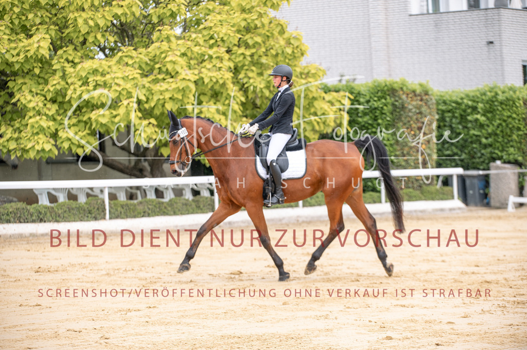 Schugtsche-Aluta25-41.Amat-Dressurprf.A_-44 | Schugtsche Fotografie - Realisiert mit Pictrs.com