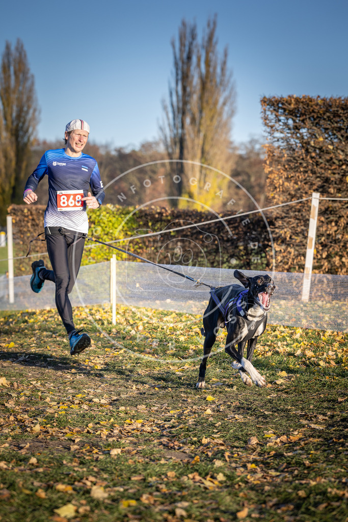 CaniXpix_DV3A4135 | Hundefotografie, Tierfotograf, Pfotenfotografie, Fotoshooting Hund, Hunde Portrait, Hundesport, Hundeportraits, Heideshooting, Hunde, Sportfotograf, Hundefotograf, Turnierhundsport, THS,  - Realisiert mit Pictrs.com