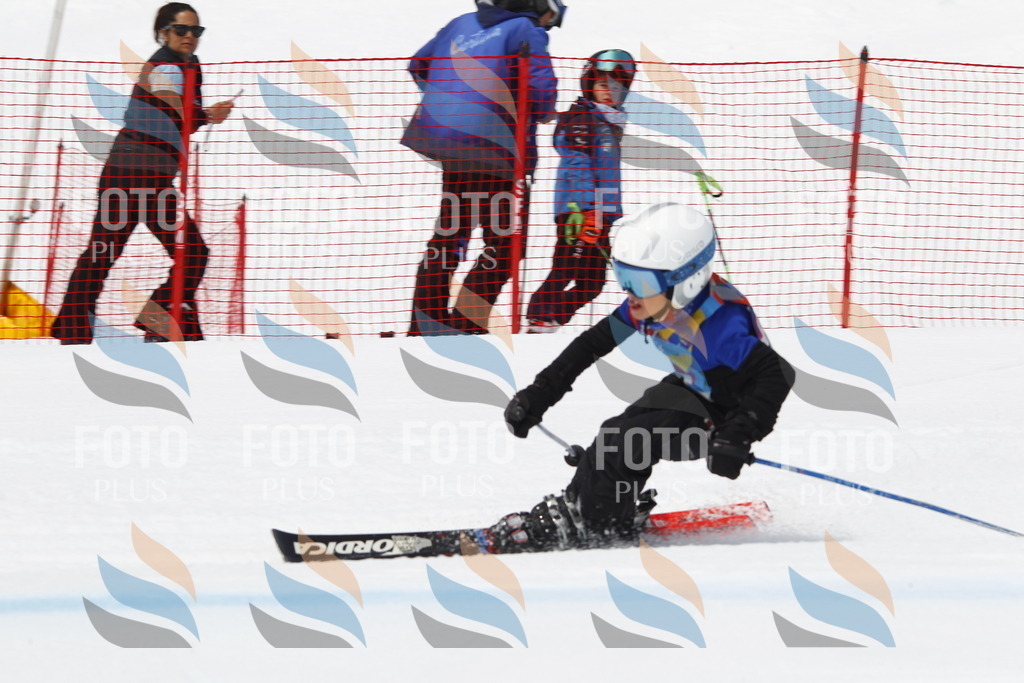 _U3G7441 | holidayphoto