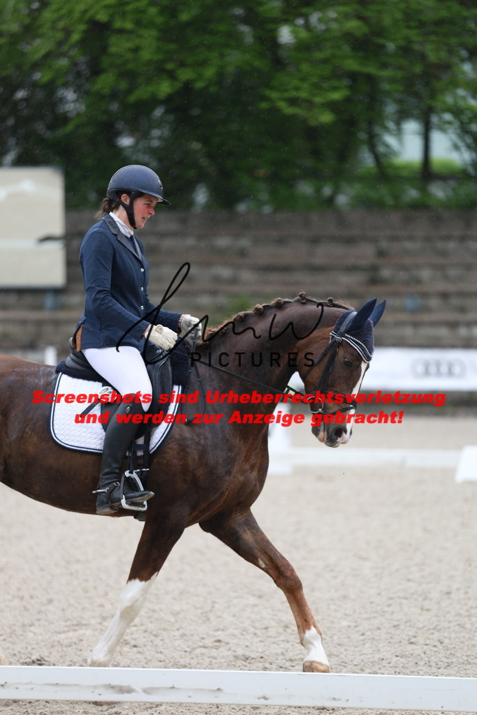 A40A7294 | lmwpictures - Realisiert mit Pictrs.com