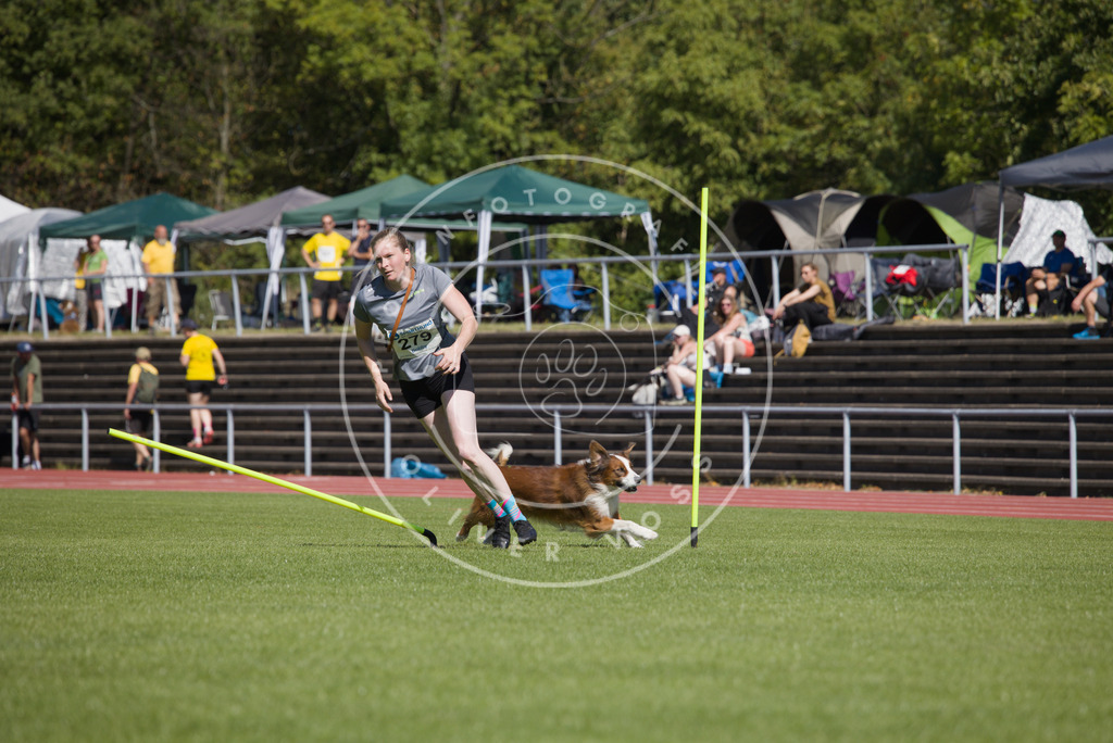 0L8A6779 | Hundefotografie, Tierfotograf, Pfotenfotografie, Fotoshooting Hund, Hunde Portrait, Hundesport, Hundeportraits, Heideshooting, Hunde, Sportfotograf, Hundefotograf, Turnierhundsport, THS,  - Realisiert mit Pictrs.com