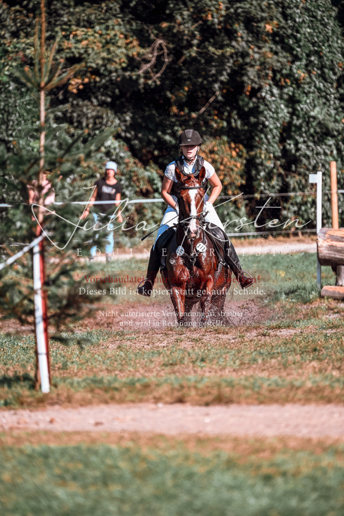 DSC_0768 | Pferde- und Turnierfotografie in Westsachsen. Pferdeportraits, Auftragszeichnungen und intuitive Kunst.