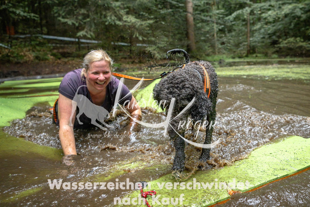1537_ZZ91457-Bearbeitet | kk-dogfotos