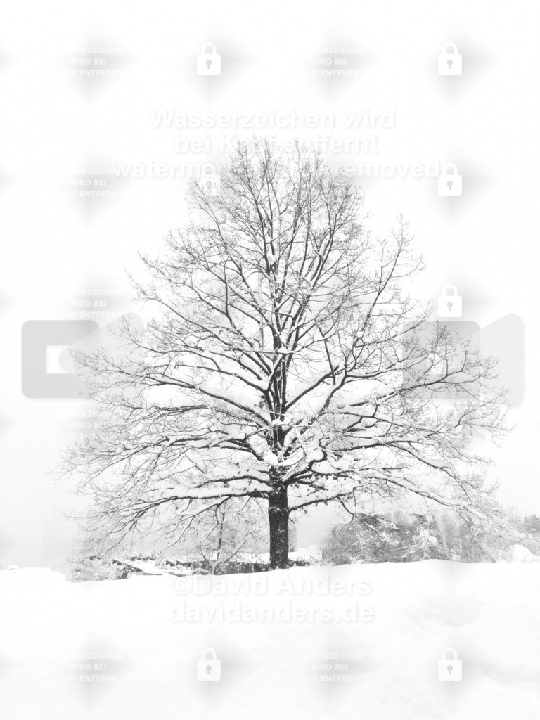 Black Tree on White Snow | Entdecken Sie meine exklusiven Wandbilder und lassen Sie die Schönheit der Natur in Ihre vier Wände einziehen – ob spektakuläre Berge oder majestätische Tiere - professionell gedruckt
auf FineArt Papier (Hahnemühle), Leinwand oder Holz. - Realisiert mit Pictrs.com
