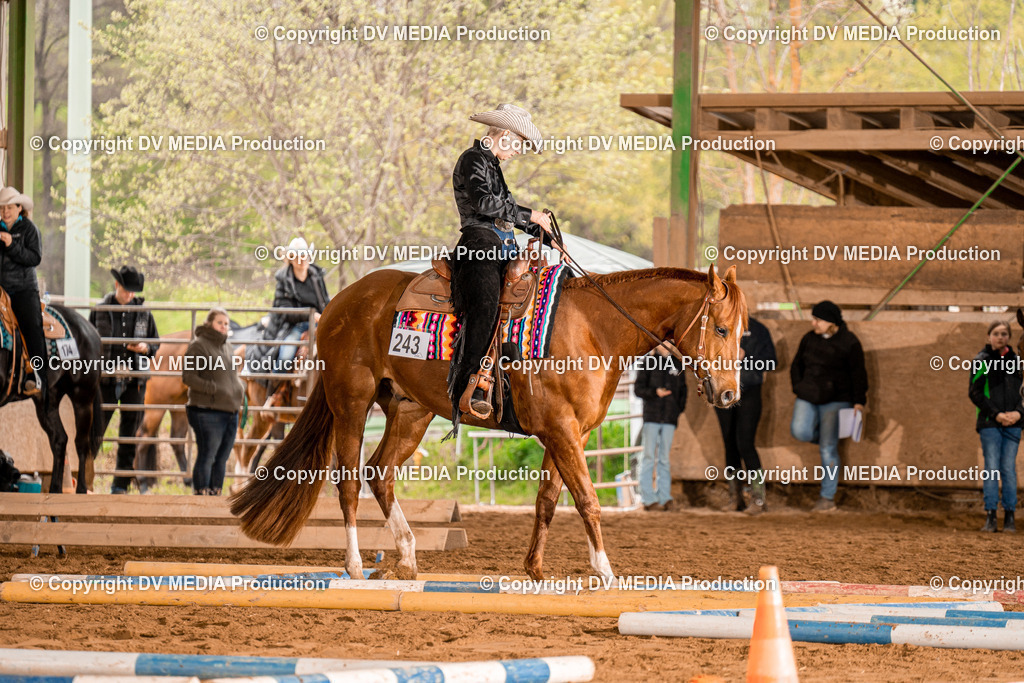 BA300309 | dv-media-shop - Realisiert mit Pictrs.com