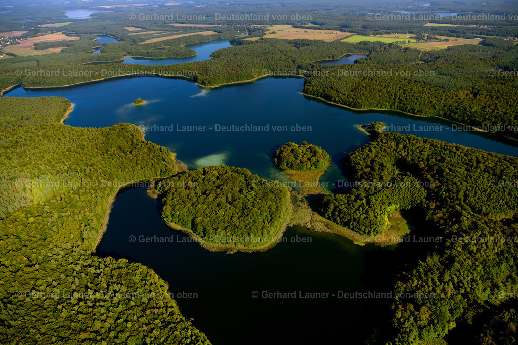 4062360 | HEIMLAND 08.09.2021 Waldgebiete am Ufer des See Großer Wummesee in Heimland im Bundesland Brandenburg. // Forests on the shores of Lake Grosser Wummesee in Heimland in the state Brandenburg. Foto: Gerhard Launer