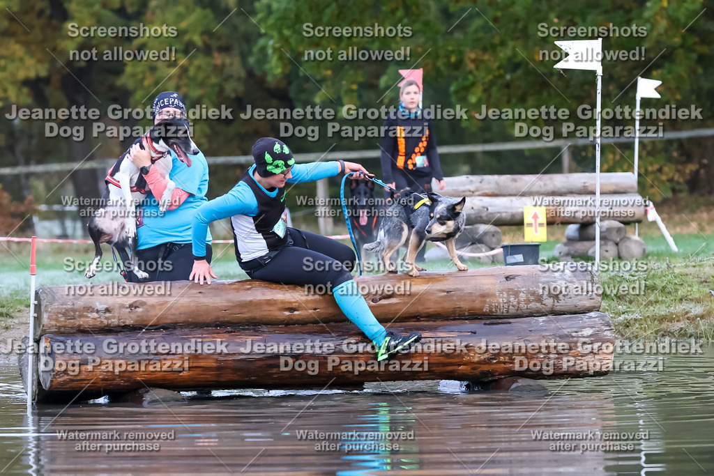 Dog Paparazzi - Strongdog 10-25-6250 | Dog Paparazzi Jeanette Grottendiek Fotografie & Videografie - Realisiert mit Pictrs.com