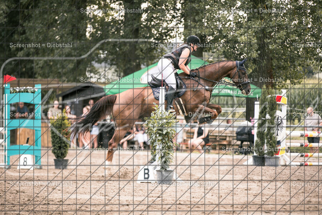 _W6A1864 | ronjaprokoschfotografie - Realisiert mit Pictrs.com