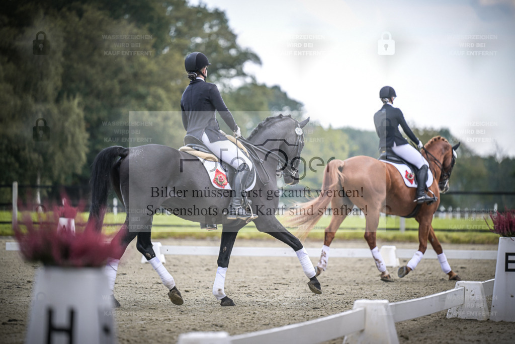 DOS_0764 | Entdecke hochwertige Reitturnierfotos von Foto Oger. Professionell, emotional und authentisch – jetzt Lieblingsmomente im Shop bestellen. - Realisiert mit Pictrs.com