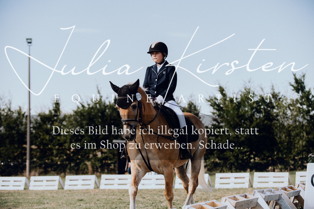 DSC_6979 | Pferde- und Turnierfotografie in Westsachsen. Pferdeportraits, Auftragszeichnungen und intuitive Kunst.