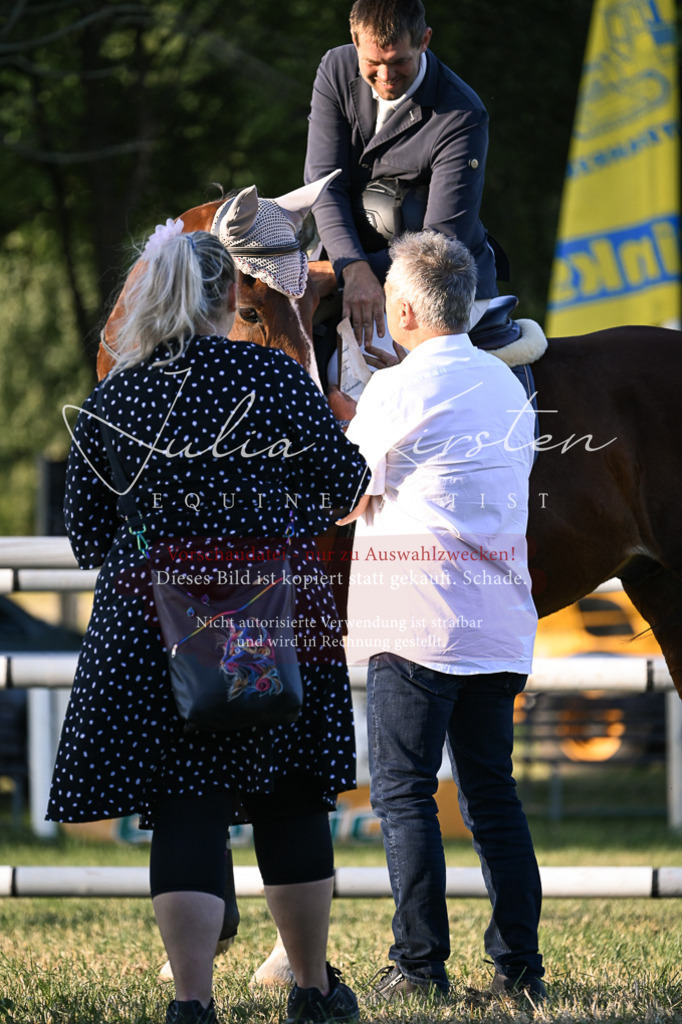 DSC_2025 | Pferde- und Turnierfotografie in Westsachsen. Pferdeportraits, Auftragszeichnungen und intuitive Kunst.
