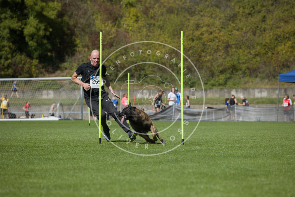 0L8A6355 | Hundefotografie, Tierfotograf, Pfotenfotografie, Fotoshooting Hund, Hunde Portrait, Hundesport, Hundeportraits, Heideshooting, Hunde, Sportfotograf, Hundefotograf, Turnierhundsport, THS,  - Realisiert mit Pictrs.com