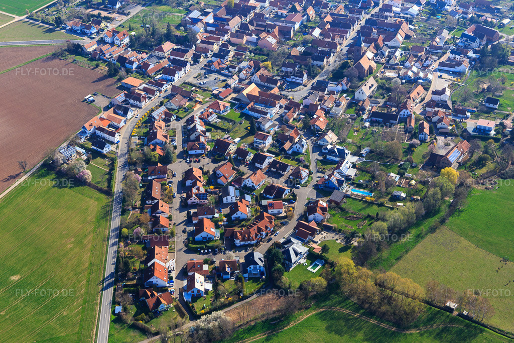 Luftbild: Ritter-Honius-Straße in Rohrbach im Bundesland Rheinland-Pfalz in Deutschland. Foto: IMG_113307.jpg vom 30.03.2019 durch Werner Riehm/FLY-FOTO.de