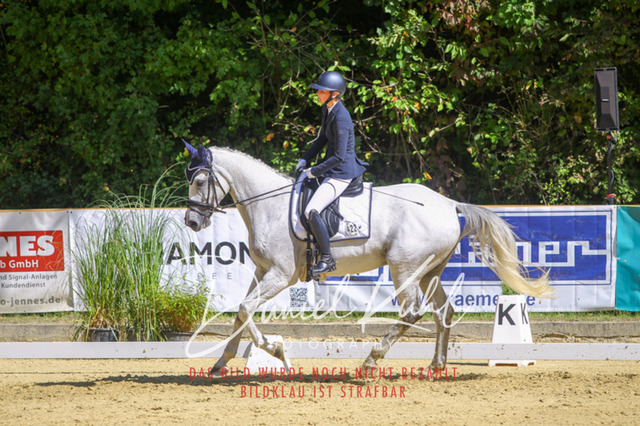 DKP42154 | Turniersportfotografie; Pferdefotografie; Dressurfotografie