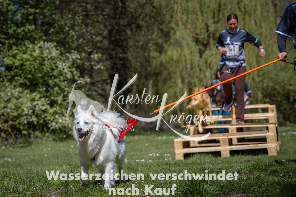 1209_ZZ90642 | kk-dogfotos