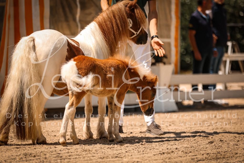01.DoKR00090 | Leoni Ertmer Photography - Realisiert mit Pictrs.com
