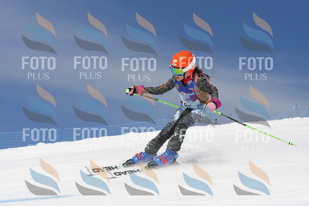 _W1G1253 | holidayphoto