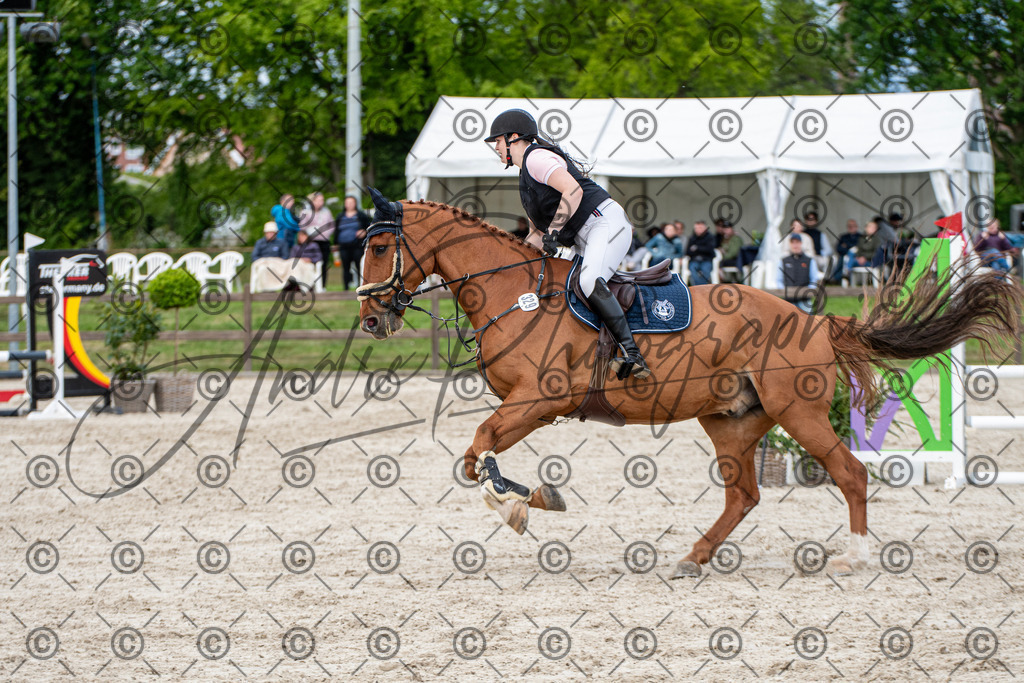 KPT_7372 | andre_photographic