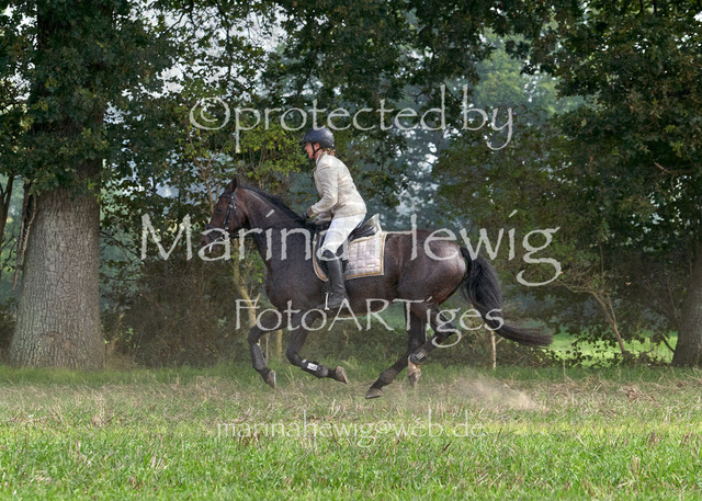 09-23 Jagd Perdöl_MCH9920_Marina Hewig | Fotografie, FotoArt, PferdesportArt, Pferdesportfotografie, Landschaftsfotografie, Reisefotografie, Reise, Pferde - Realisiert mit Pictrs.com