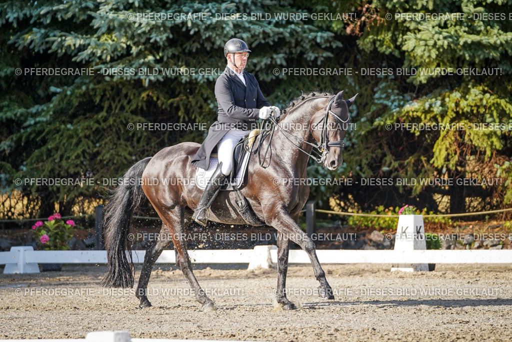 DSC00660 | Pferdegrafie