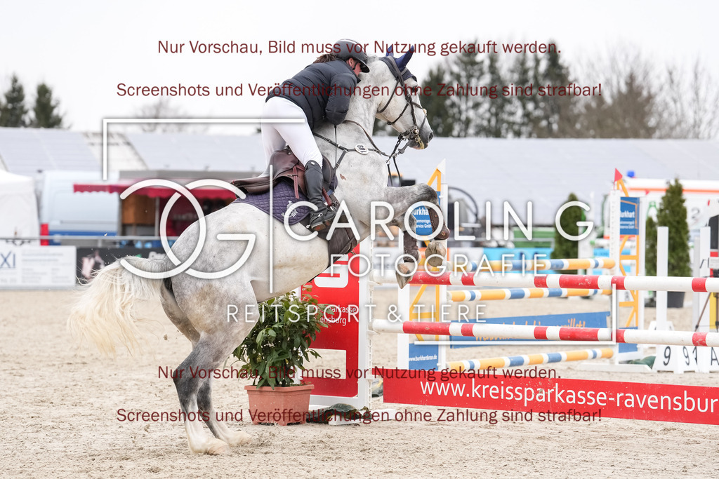 DSC07035 | New Star - F, Kathrine_Wingerter