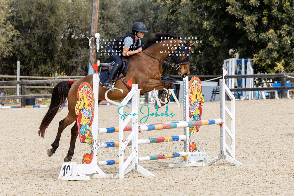 IMG_3542 | s-jay-photography - Realisiert mit Pictrs.com