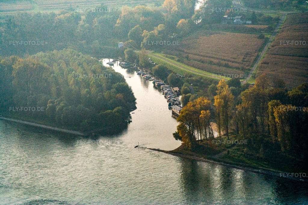 Luftbild: Mündung der Lauter in den Rhein in Neuburg am Rhein im Bundesland Rheinland-Pfalz in Deutschland. Foto: IMG_14113.jpg vom 11.10.2008 durch Werner Riehm/FLY-FOTO.de