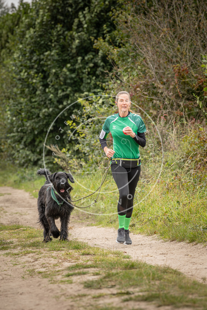 Pfotenfotografie_DV3A7936 | Hundefotografie, Tierfotograf, Pfotenfotografie, Fotoshooting Hund, Hunde Portrait, Hundesport, Hundeportraits, Heideshooting, Hunde, Sportfotograf, Hundefotograf, Turnierhundsport, THS,  - Realisiert mit Pictrs.com