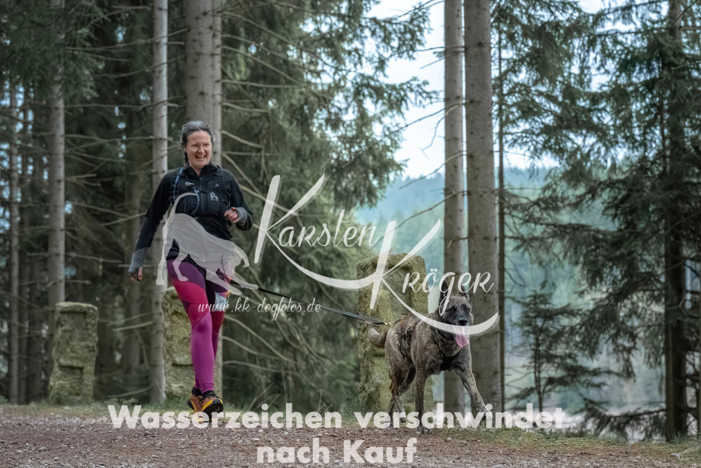 0820_ZZ91204 | kk-dogfotos