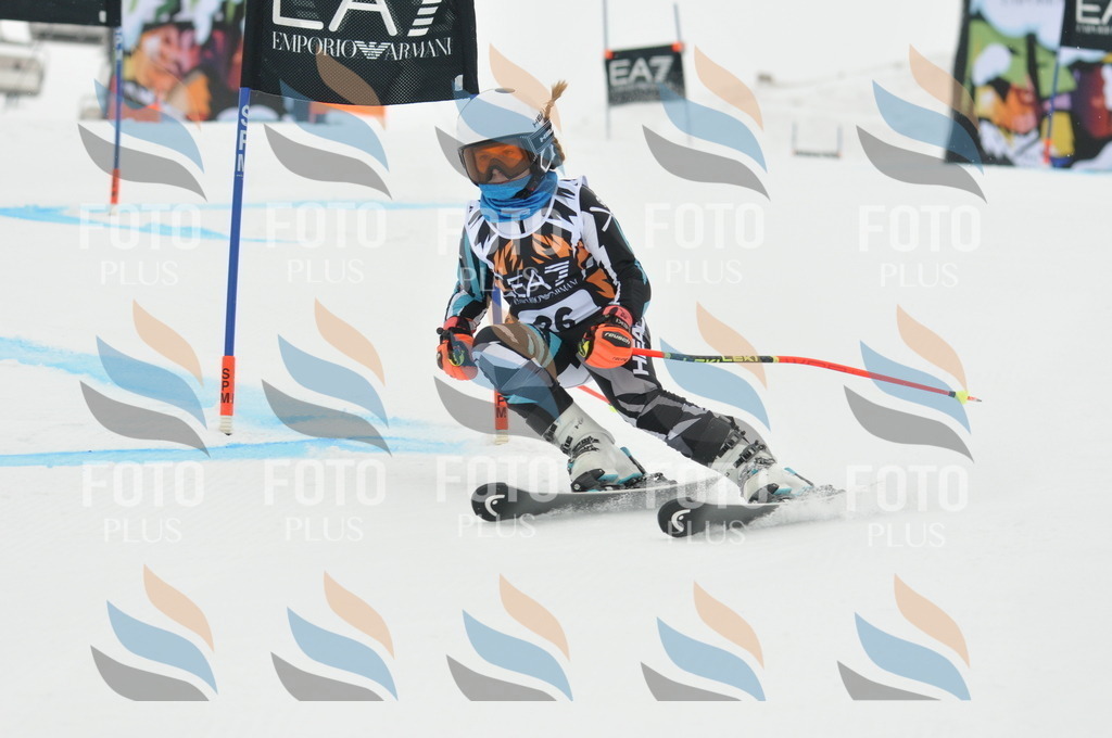 DSC_7599 | holidayphoto