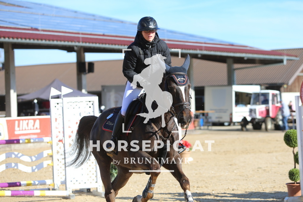 DL2Q3928 | Willkommen bei Brunnmayr - Design & Fotografie – Ihrem Spezialisten für Reitturniere und Pferdeveranstaltungen in Oberösterreich, Salzburg und Bayern! Seit über 17 Jahren sind wir leidenschaftlich dabei.