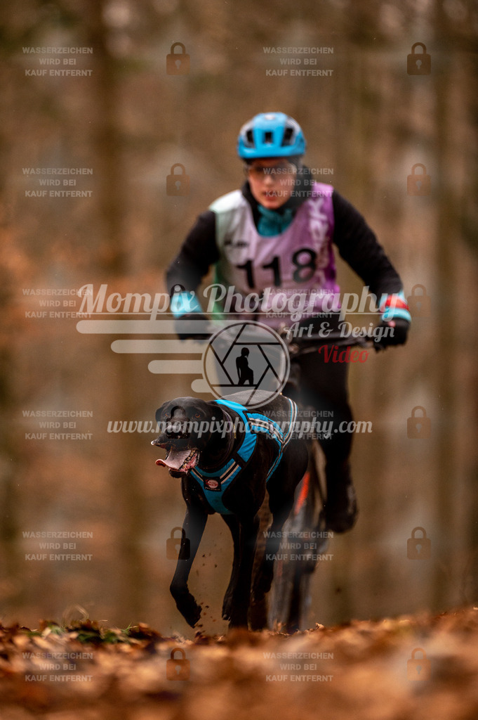 AKM_ST_2023_Son_Bike-117 | PayLife