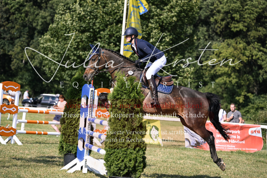 DSC_1436 | Pferde- und Turnierfotografie in Westsachsen. Pferdeportraits, Auftragszeichnungen und intuitive Kunst.