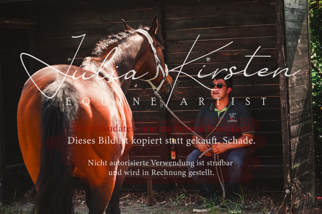 DSC_7300 | Pferde- und Turnierfotografie in Westsachsen. Pferdeportraits, Auftragszeichnungen und intuitive Kunst.