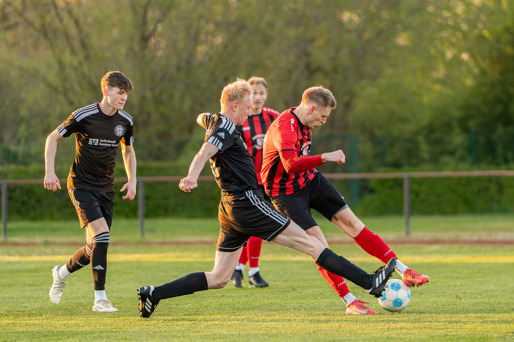 Fußball I Herren I Saison 2025-2026 I Bezirksliga Weser-Ems 4 I 23. Spieltag I TuS Frisia Goldenstedt - SW Osterfeine I 08324 | jns.sportfotos - Realisiert mit Pictrs.com