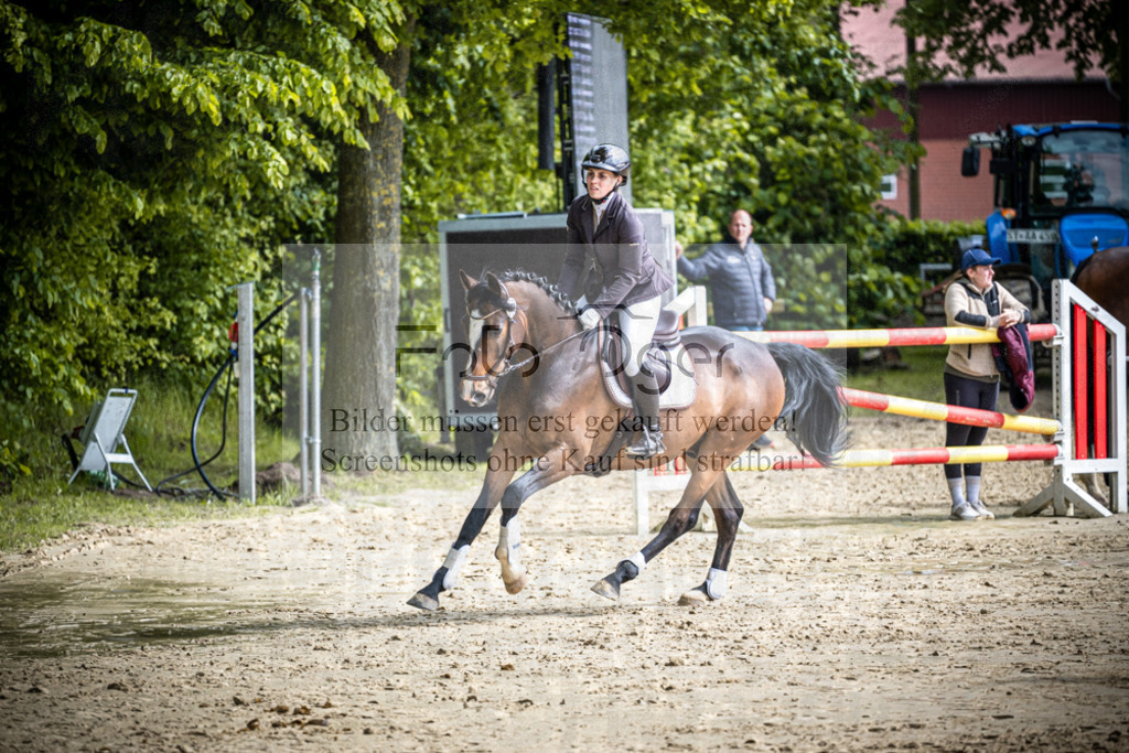 DOS_1922 | Reitturnier Lüdinghausen - Realisiert mit Pictrs.com