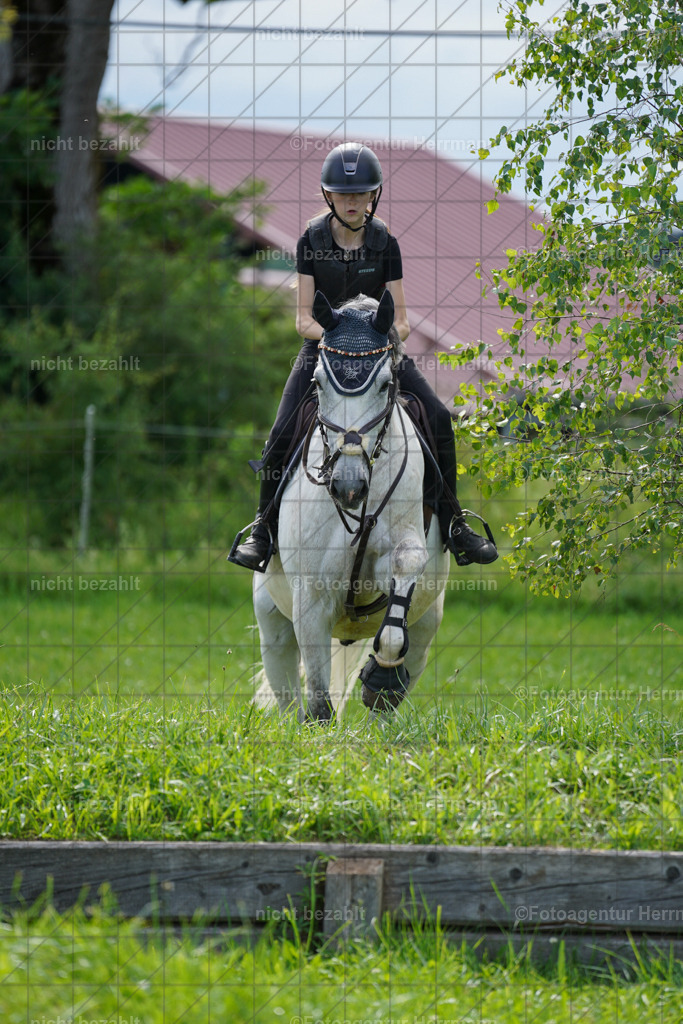 20240622-FAH07976 | Turnierfotografen Bayern, Reitsportbilder aus dem Geländekurs mit Felix Etzel auf dem Gut Waitzacker 2024
