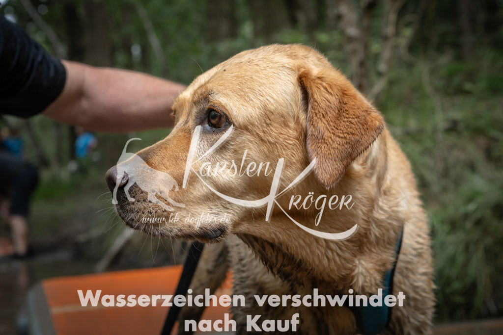 1237_ZZ90264 | kk-dogfotos