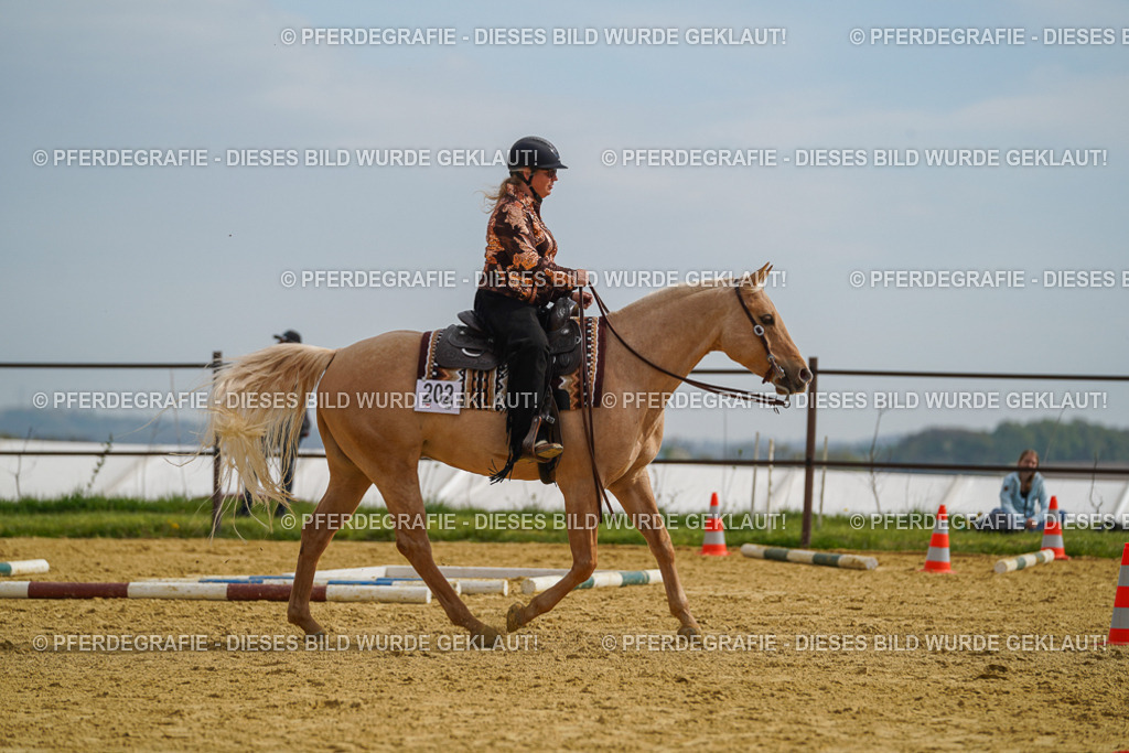 DSC02196 | Pferdegrafie