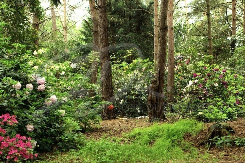 NatureArt-RHODOPARK_7922b | Der Stamm hat sich verlängert | #005 | Modell: Darky | Foto: Andrej Laukart - Realisiert mit Pictrs.com