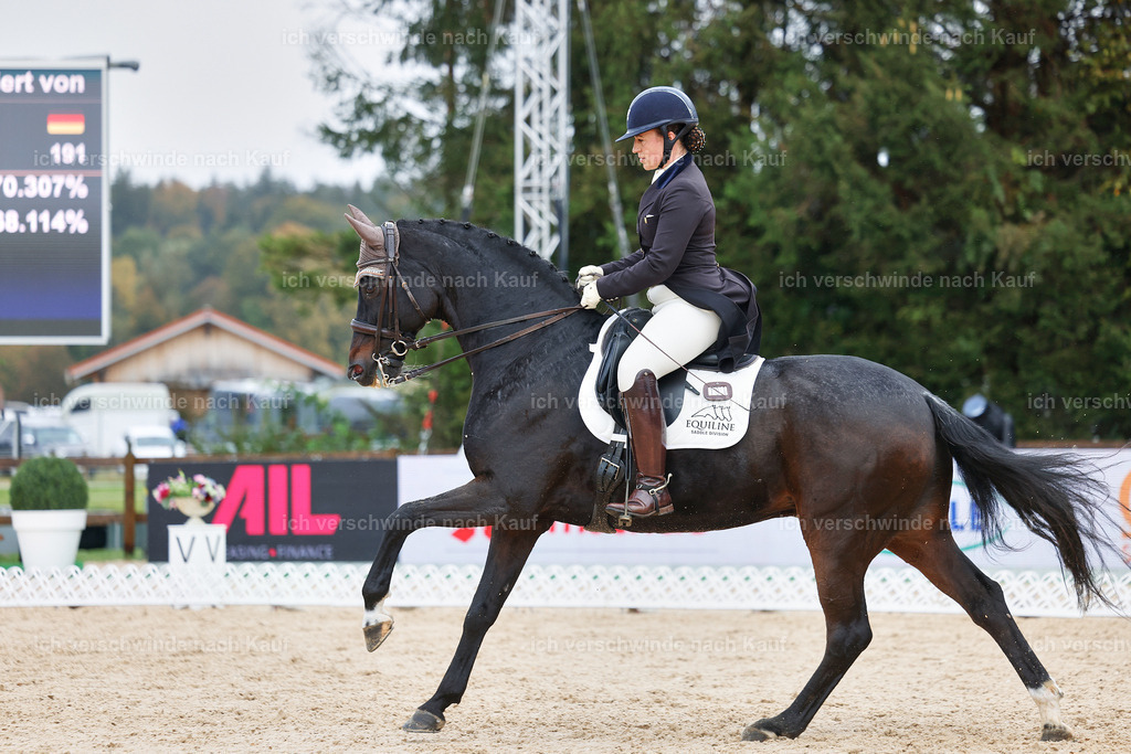 07-191-DRESSUR  S___  -StoibPH-4997 | working equitationturnier fotograf videograf stoibphotography marixx film working equitation deutschland reitsport turnierfotografie eventfotografie equestrian events