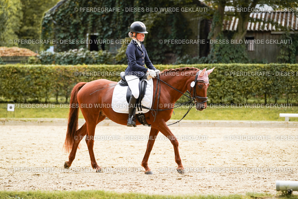 DSC09476 | Pferdegrafie